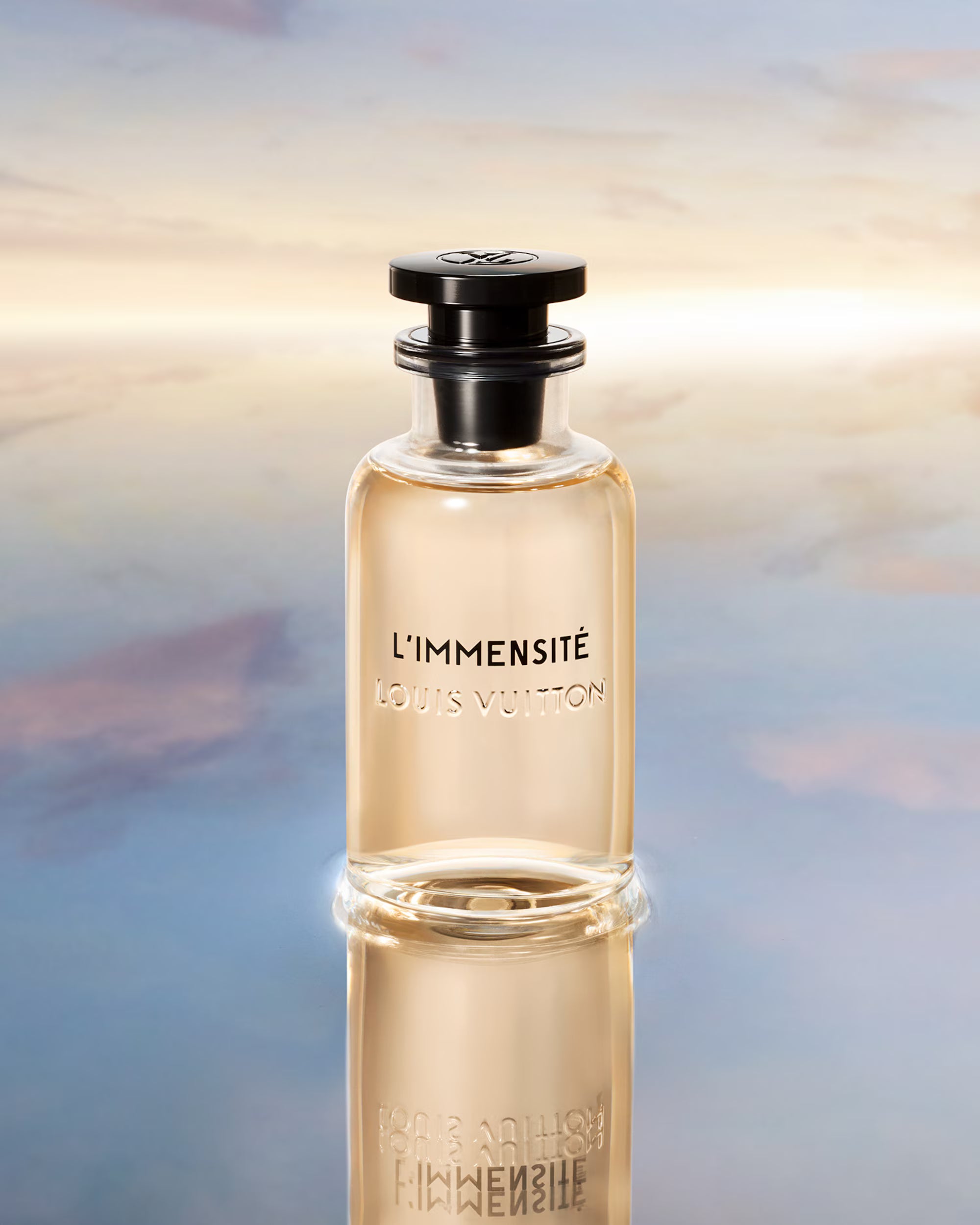 Louis Vuitton L'immensite