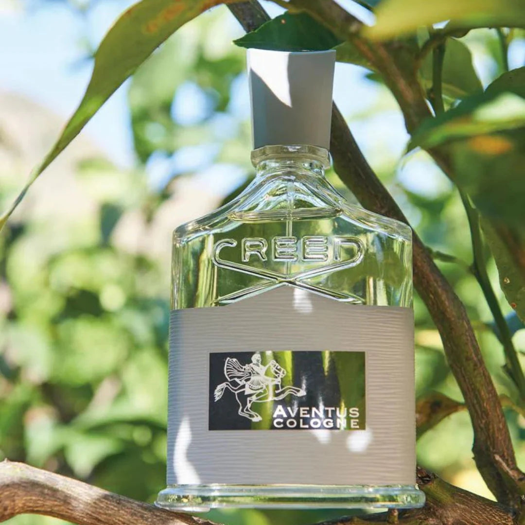 Creed Aventus Cologne